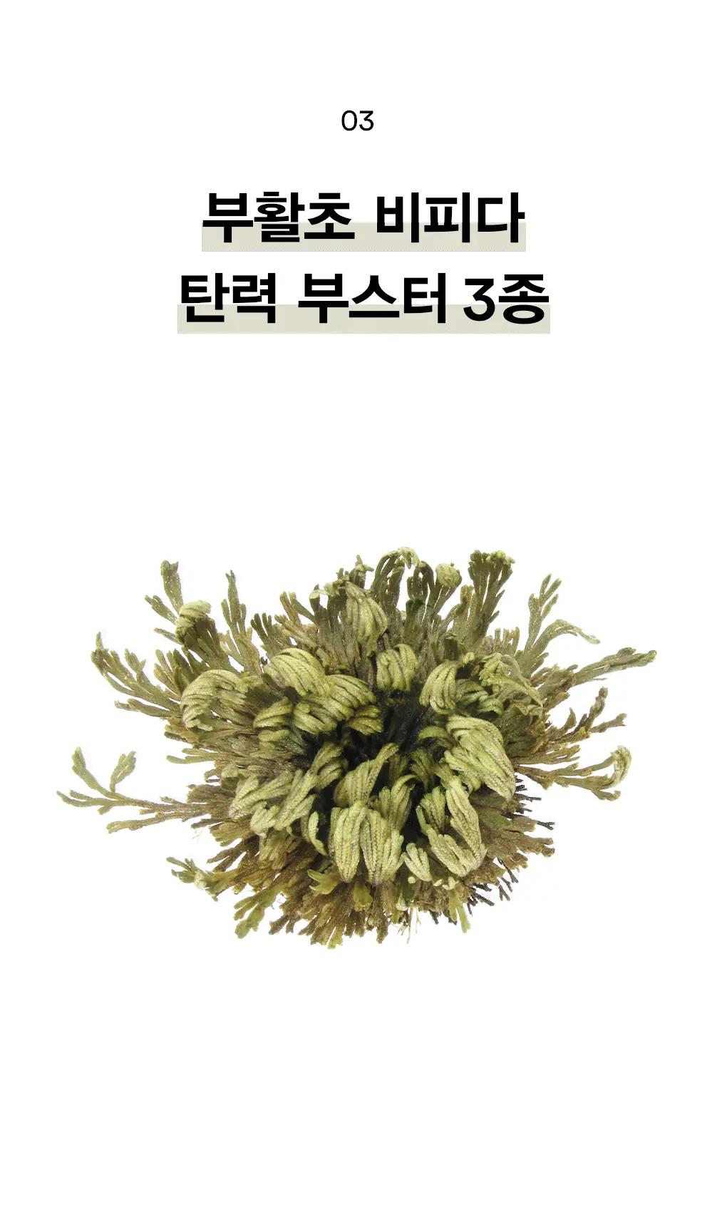 [채서안PICK/화잘먹세럼] 아비브 부활초 비피다 세럼 퍼밍 드롭 50ml 기획 (+30ml 추가 증정) 상세페이지 17
